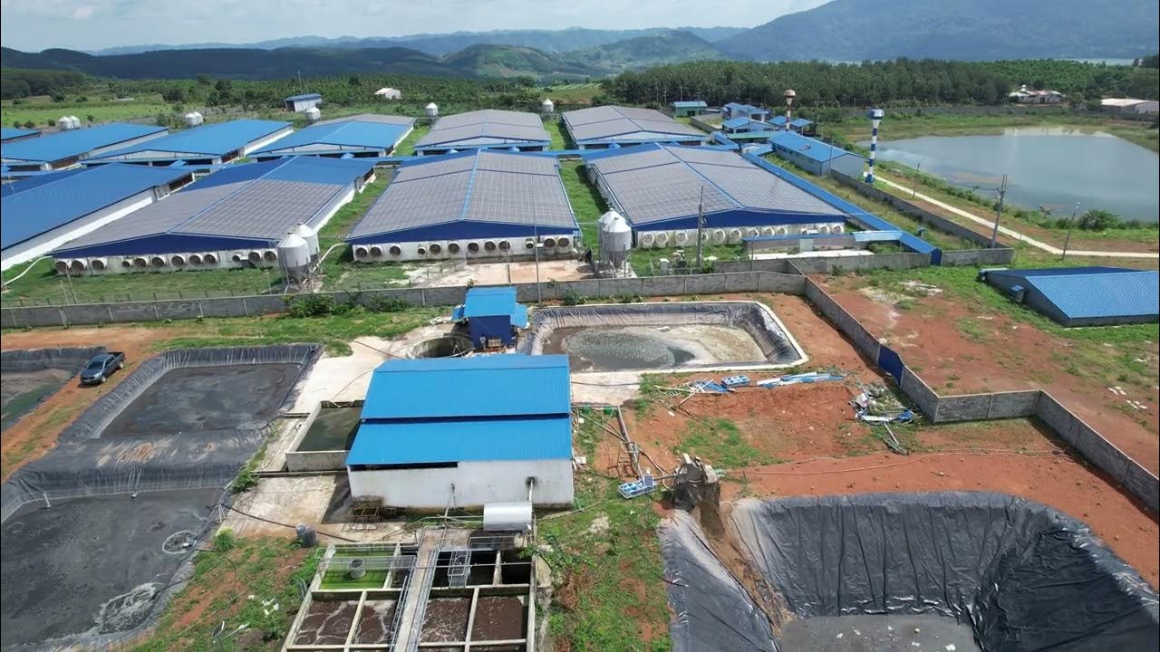 Đèn Năng Lượng Mặt Trời Trang Trại